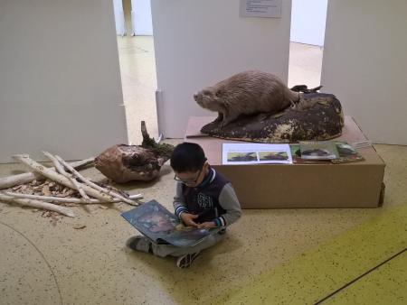 Biberausstellung