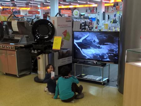 Biberfilme im Fust, Telli Aarau