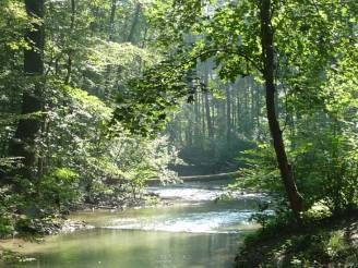 Aufwertung Frey-Kanal