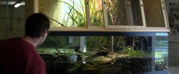 Terrarium im Tellizoo