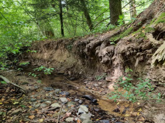 Roggenhausenbach Gewässerperle Plus