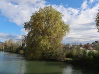 Aufwertung Aareufer Ost